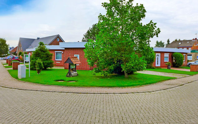 Venusmuschel - Photo 3