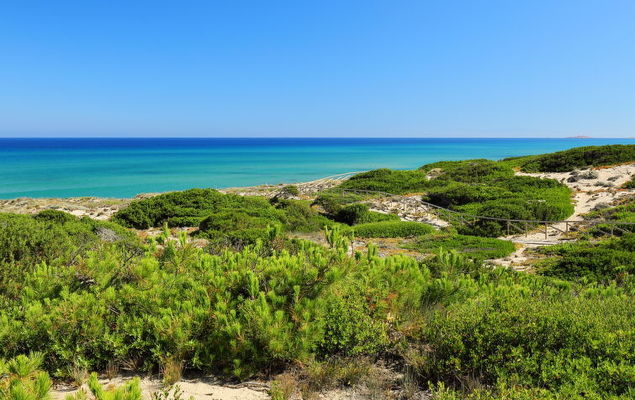 Baia delle Mimose - Photo 5