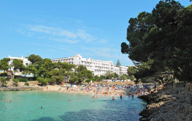 Finca del Sol - Photo 26