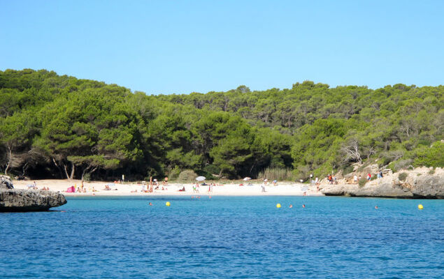 Finca del Sol - Photo 28