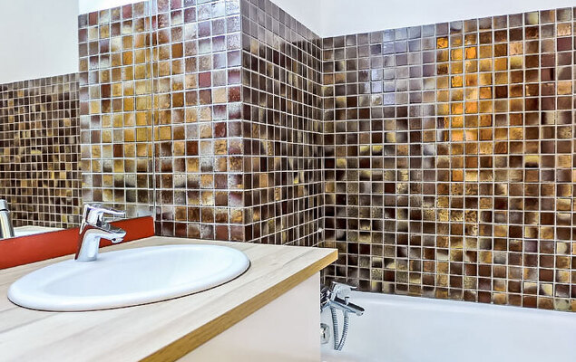 Le Pramouny - Photo 7